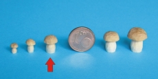Pilz geschnitzt, 10 mm