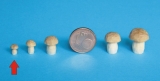 Pilz geschnitzt, 06 mm